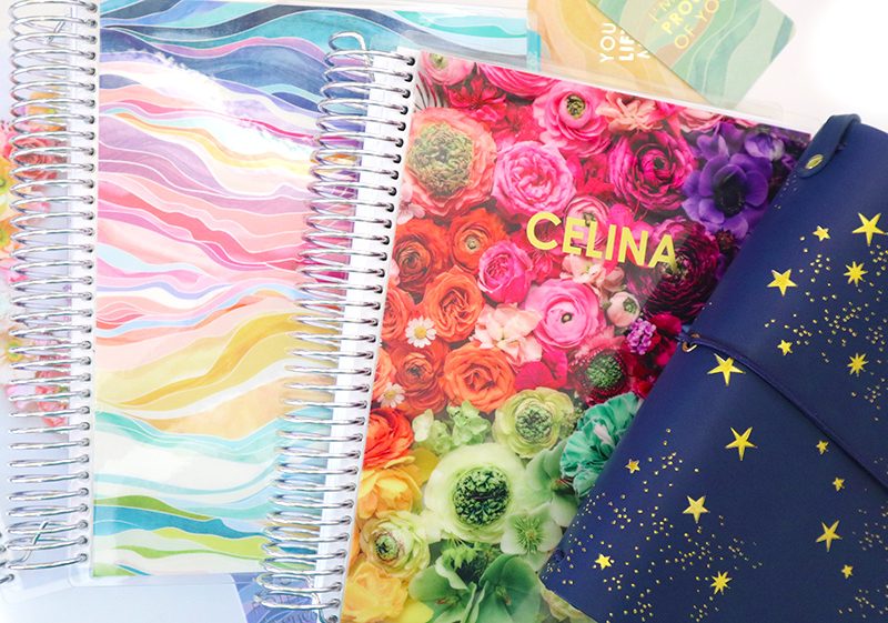 Erin Condren 2020 / 2021 Planners Haul